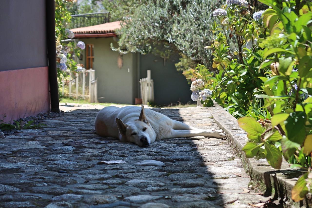 The Lazy Dog Inn A Mountain Lodge Huaraz  Exterior foto